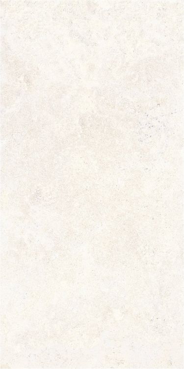 OL Limestone Bianco Matte 24 x 48